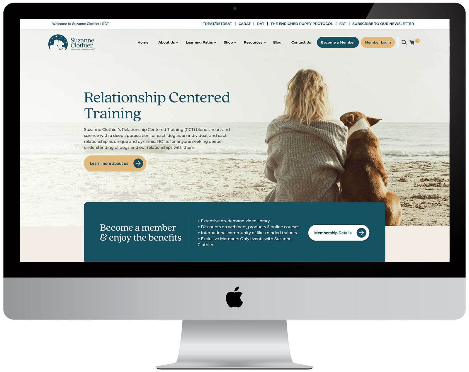 Suzanne Clothier Incredible Ecommerce Website Development 1 suzanne clothier01