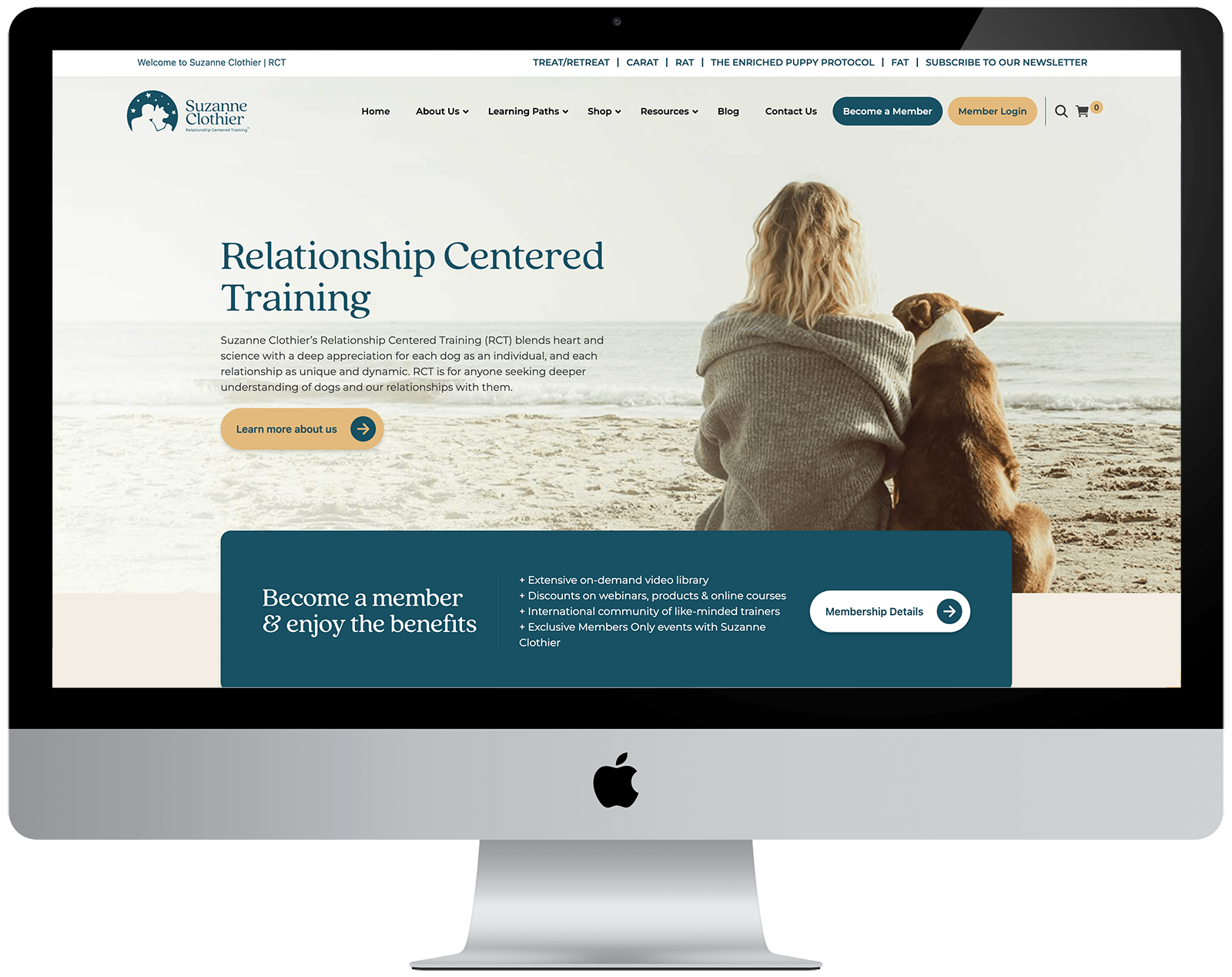 A Guide to Setting Up a Successful Online Store 1 suzanne clothier01