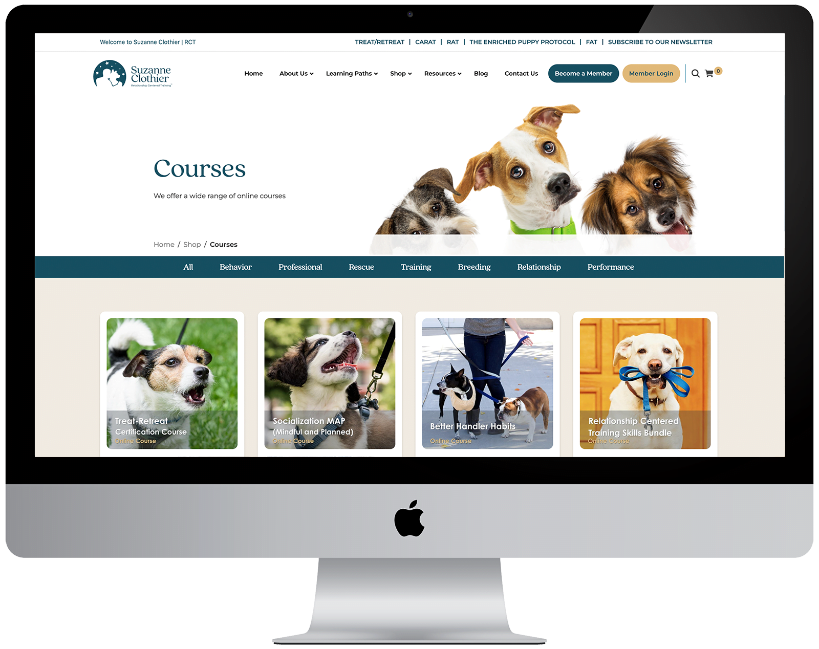 A Guide to Setting Up a Successful Online Store 3 suzanne clothier03