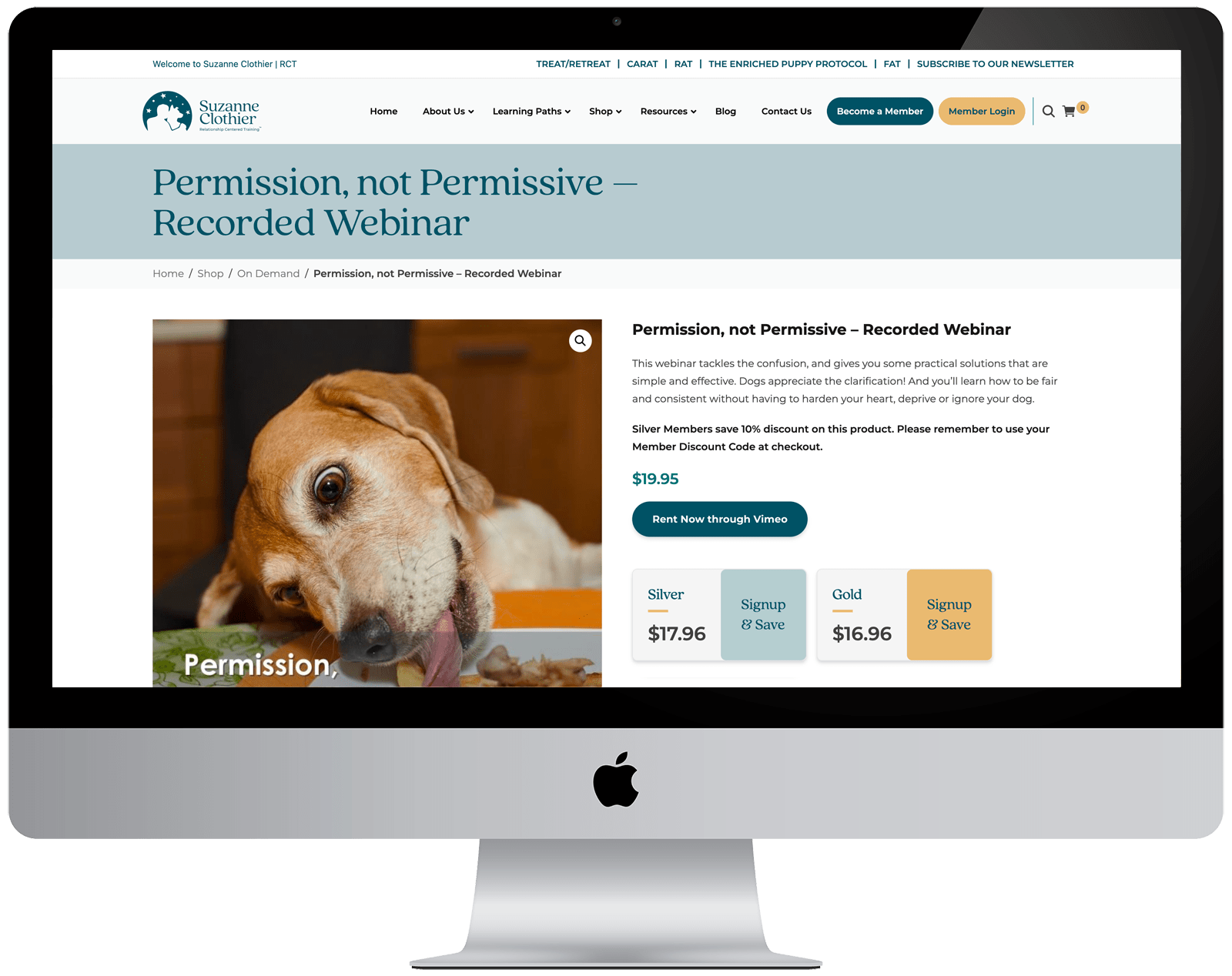 A Guide to Setting Up a Successful Online Store 4 suzanne clothier04
